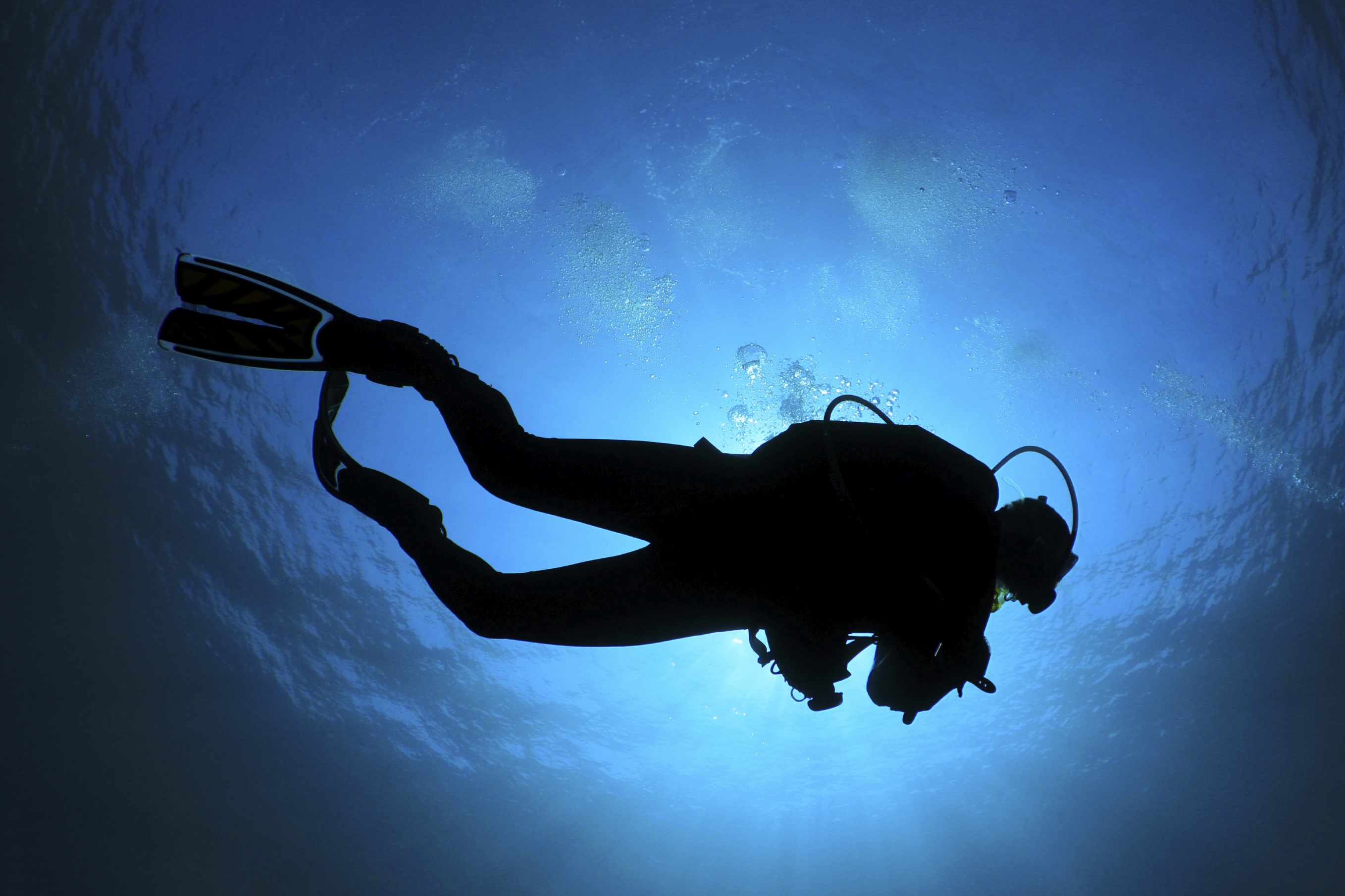 Egyptian Scuba Diver Sets New World Record | ActionHub